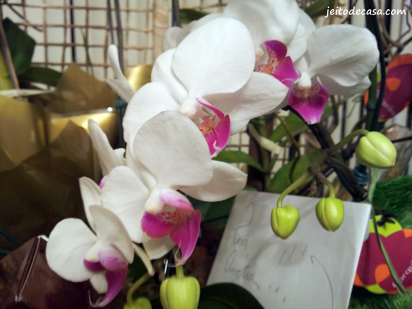 Arranjo de orquídeas! - Jeito de Casa - Blog de Decoração e Arquitetura
