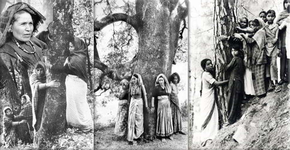 Image result for chipko movement amrita devi
