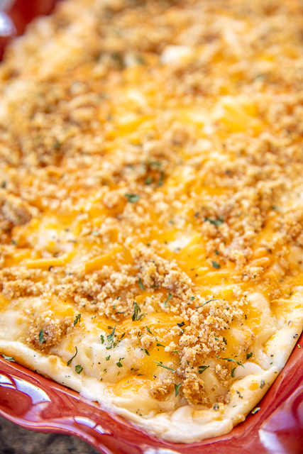 Million Dollar Twice Baked Potato Casserole - the BEST potato casserole EVER!!! Loaded with tons of yummy cheese! Mashed potatoes, cream cheese, cottage cheese, sour cream, cheddar cheese, onion, garlic, butter, and Italian bread crumbs. SO easy!!! Can make in advance and refrigerate or freeze for later. The most requested potato recipe in our house! YUM! #potatocasserole #recipe #easyrecipe #sidedish #freezermeal Million Dollar Twice Baked Potato Casserole - the BEST potato casserole EVER!!! Loaded with tons of yummy cheese! Mashed potatoes, cream cheese, cottage cheese, sour cream, cheddar cheese, onion, garlic, butter, and Italian bread crumbs. SO easy!!! Can make in advance and refrigerate or freeze for later. The most requested potato recipe in our house! YUM! #potatocasserole #recipe #easyrecipe #sidedish #freezermeal