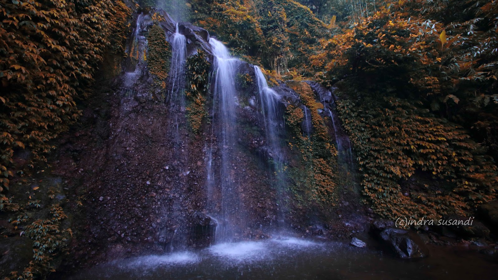 Wisata Tenjolaya-Bogor Part VI: Bumi Perkemahan Ciputri ...
