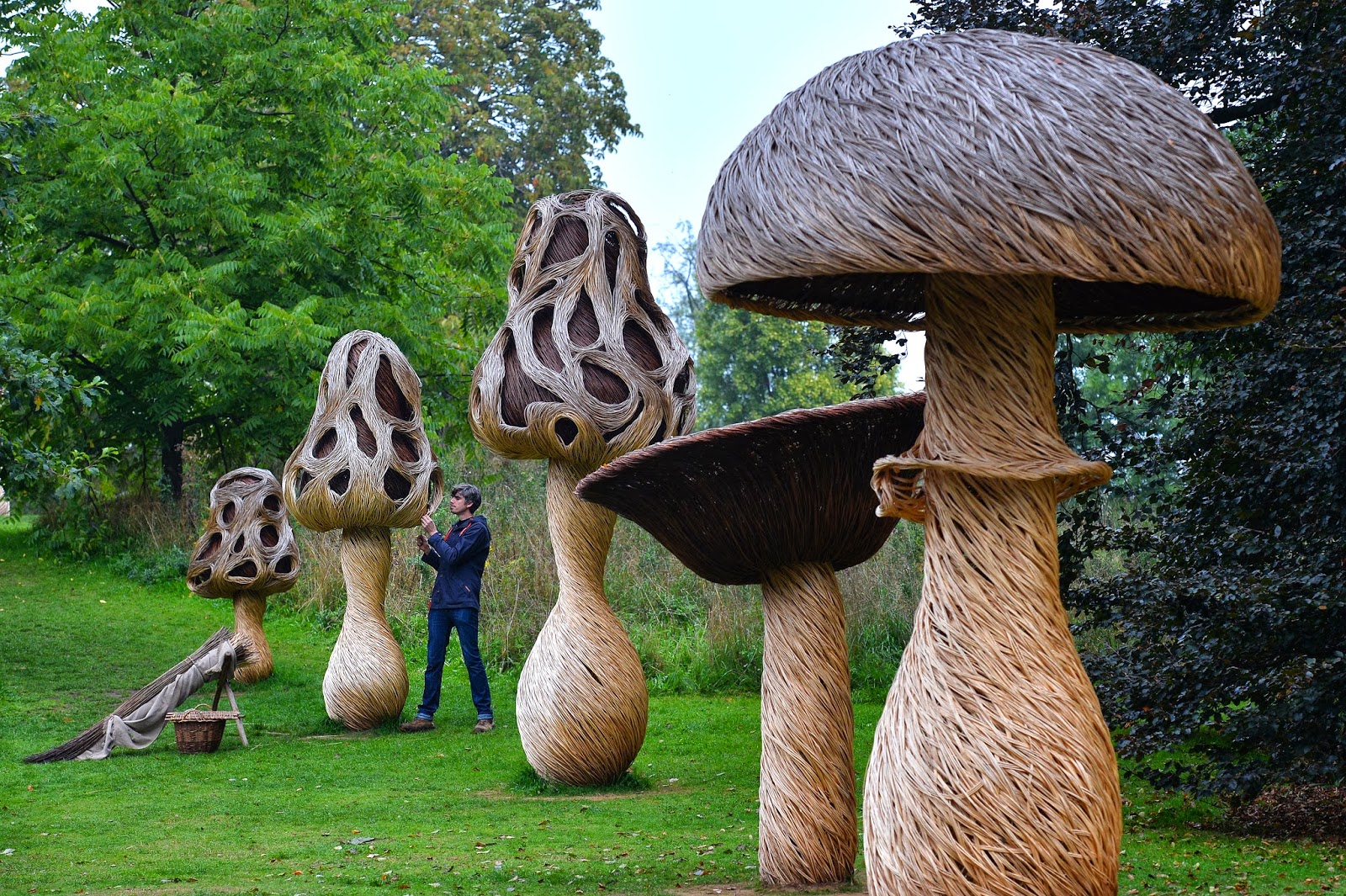 Willow Sculptures Images Archival Store