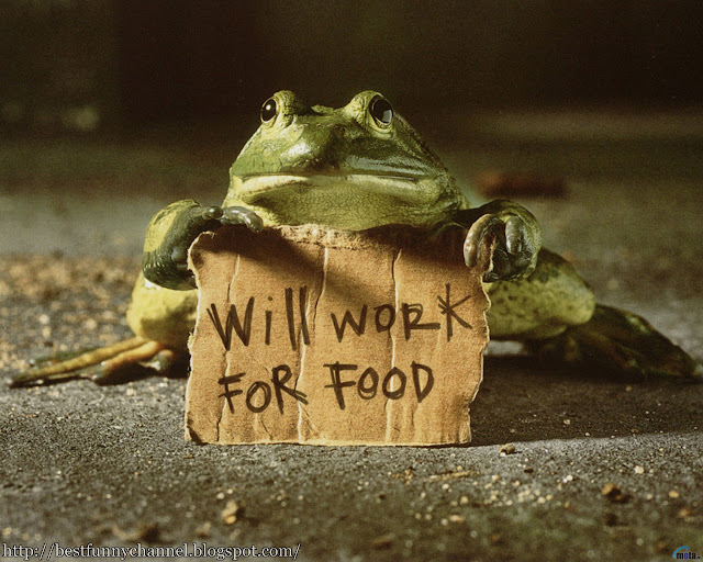 Funny frog.