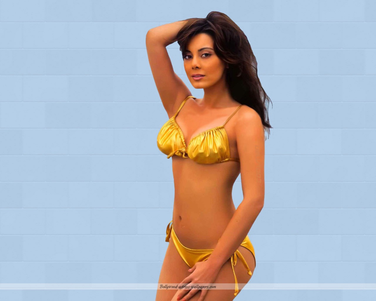 Bikini Photos Of Bollywood Actress 40
