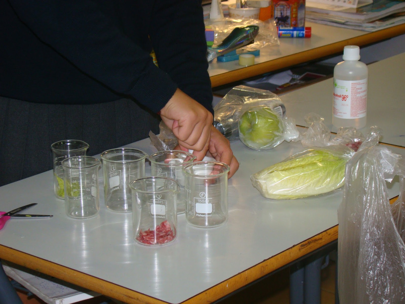 Science Magazine TESTING FOODS FOR STARCH AND LIPIDS BY MARIA CORDERO