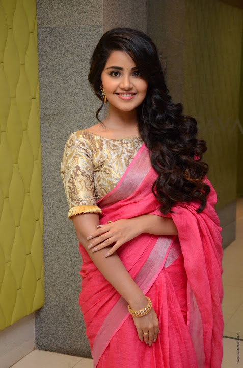 Anupama Parameswaran at Vunnadi Okate Zindagi Movie Thanks Meet
