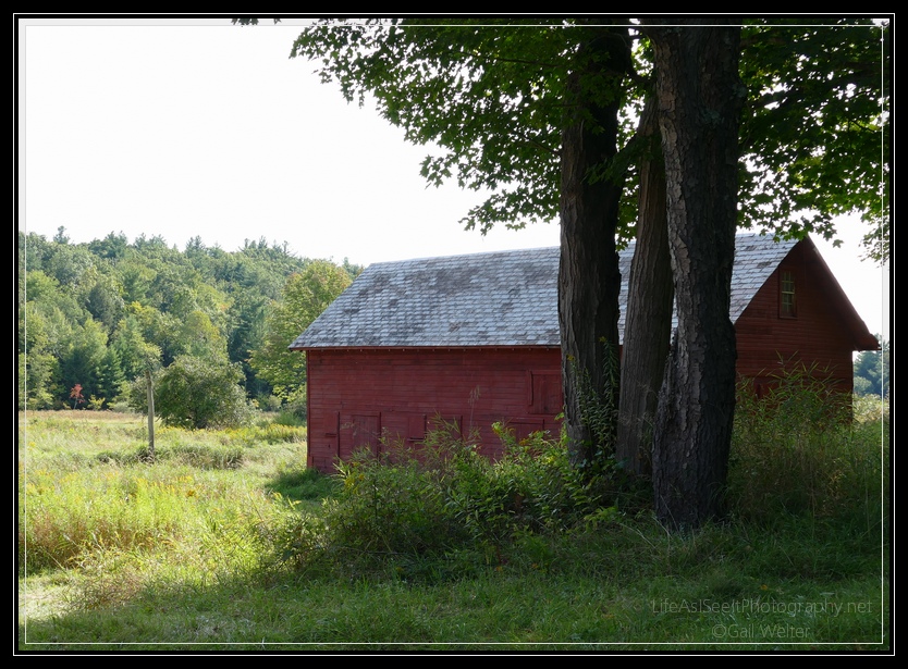 Enjoying the Seasons on the Back Roads of Buskirk, NY Life As I See It