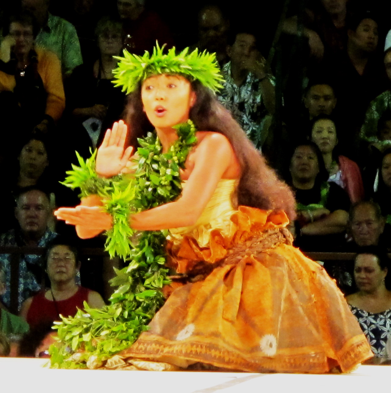 The 50th State - Life, Photos & Thoughts: Merrie Monarch Festival ...