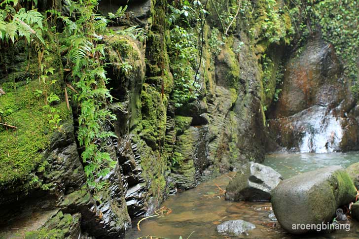curug cadas ngampar bogor
