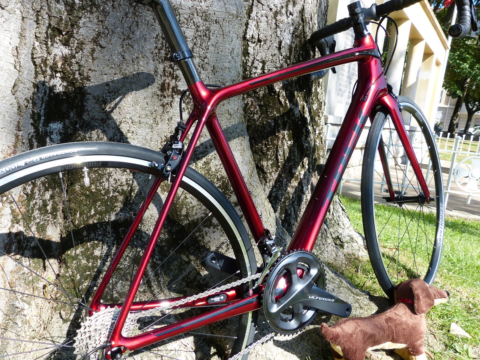 new pro trek 2019