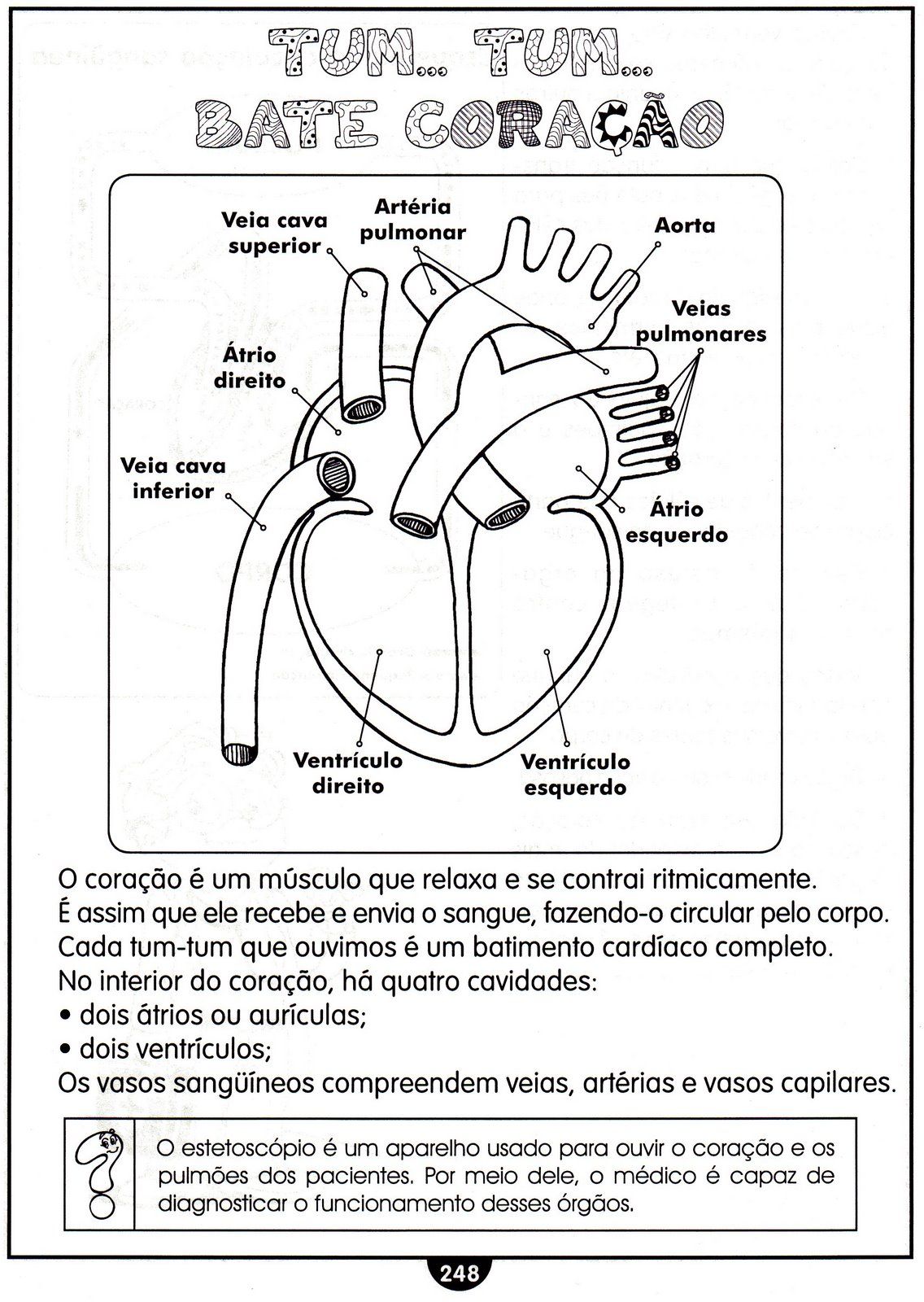atividades corpo humano sÓ escola
