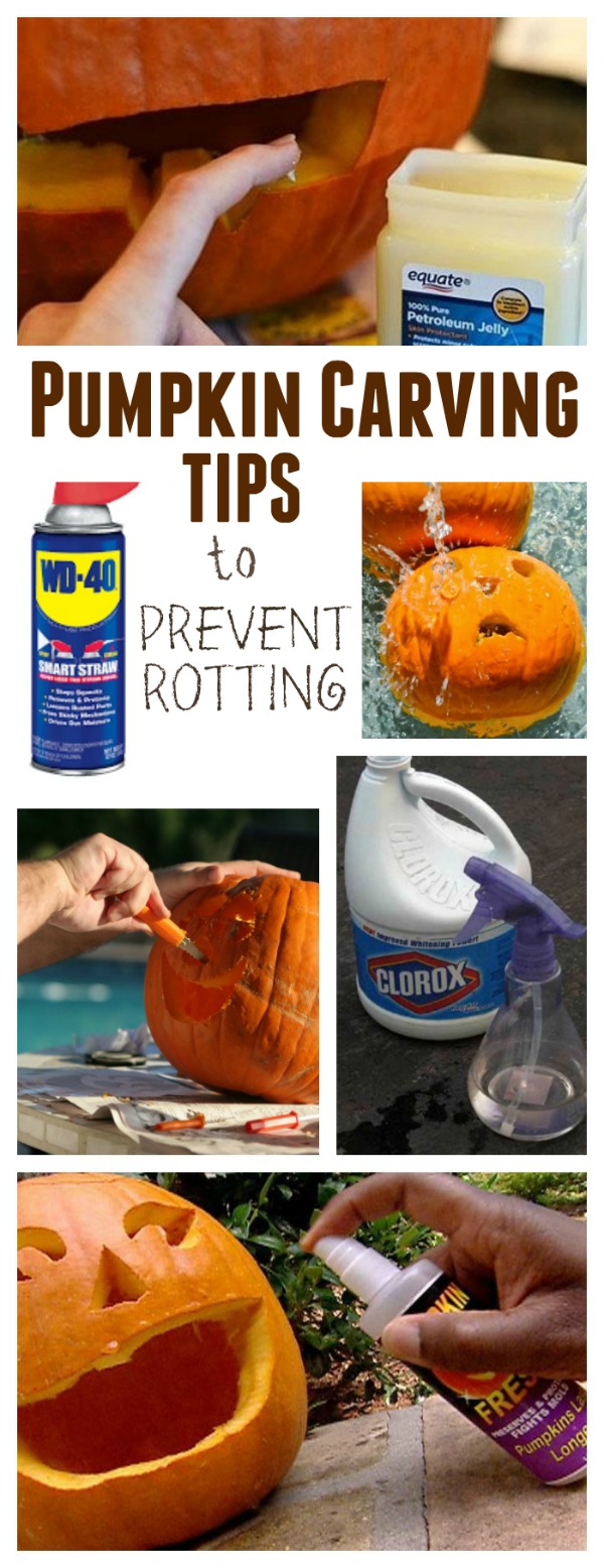 Tips & tricks to make carved pumpkins last for weeks! No more rot!