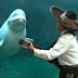 Musica para todos | Tocando para las belugas