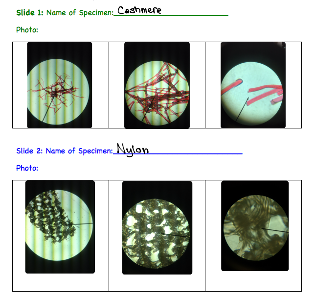 Lessons from a Middle School Science Classroom Microscopes and iPads