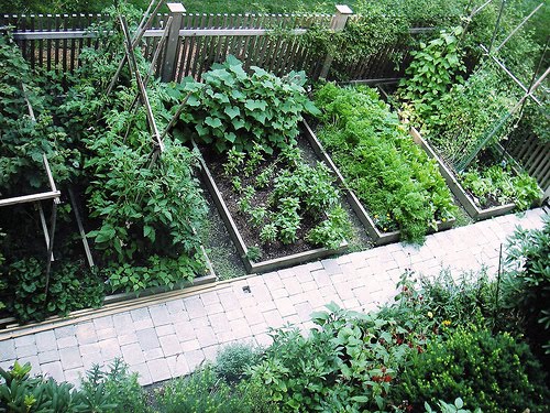 Perfect Backyard Vegetable Garden Design Plans Ideas ...