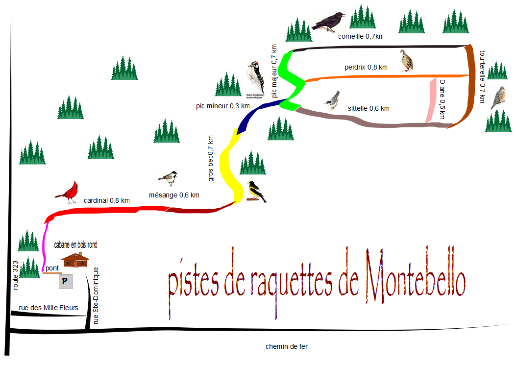 montebellois carte des pistes de raquettes de Montebello