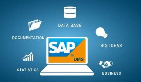 Qué es SAP DMS - Consultoria-SAP