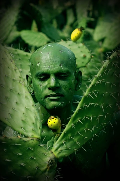13-Cactus-Body-Paint-Johannes-Stötter-Musician-Fine-Art-Body-Painter-www-designstack-co 