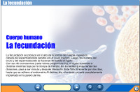 https://s3-us-west-1.amazonaws.com/app-prod-icarito/herramientas/727740.swf