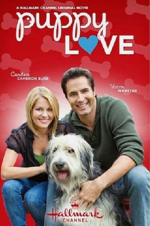 [HD] Un amour de chien 2012 Film Complet En Anglais
