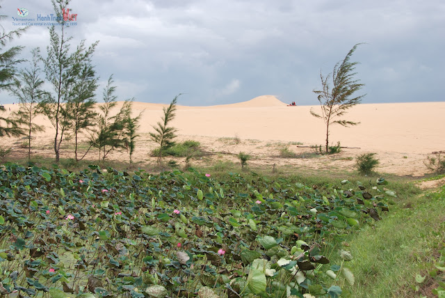 Bàu Trắng, điểm đến không thể bỏ qua khi đi du lịch Mũi Né, Phan Thiết