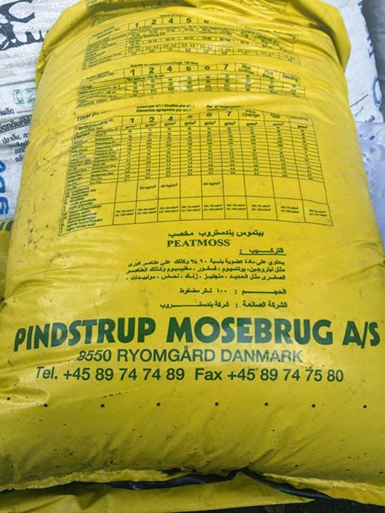 Figs Photo Collection Around the World Peatmoss Cutting Figs