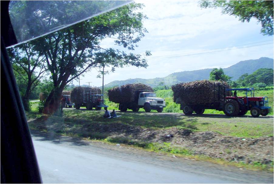 exploring dreaming discovering: life in labasa