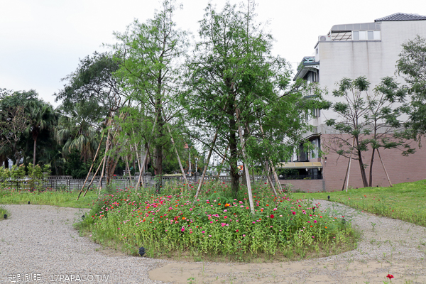 台中北屯|鉅虹建設海天橋水岸公園|百日草|落羽松|阿勃勒|美景盡收眼底 台中北屯|鉅虹建設海天橋水岸公園|百日草|落羽松|阿勃勒|美景盡收眼底