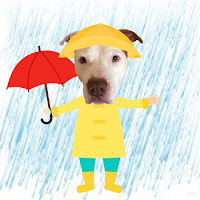 Lgar Dog Rescue Lgar Dog Rescue