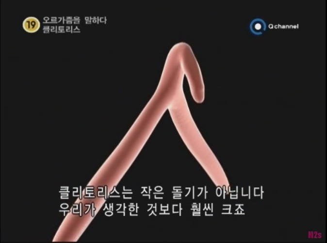 오르가즘을 말하다, 클리토리스 - 디쁠