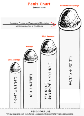 Vagina Penis Size 75