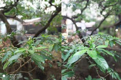 Xiaomi Mi A1 vs Honor 7X Camera Comparison