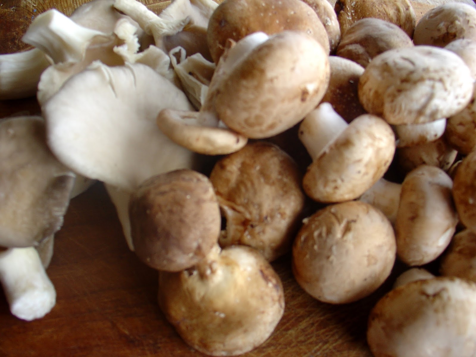 Recipes & More with Apron Madness: Pasta with Mushroom Sauce