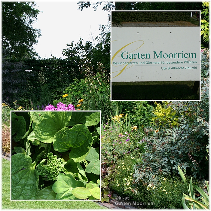 kleinerstaudengarten Garten Moorriem