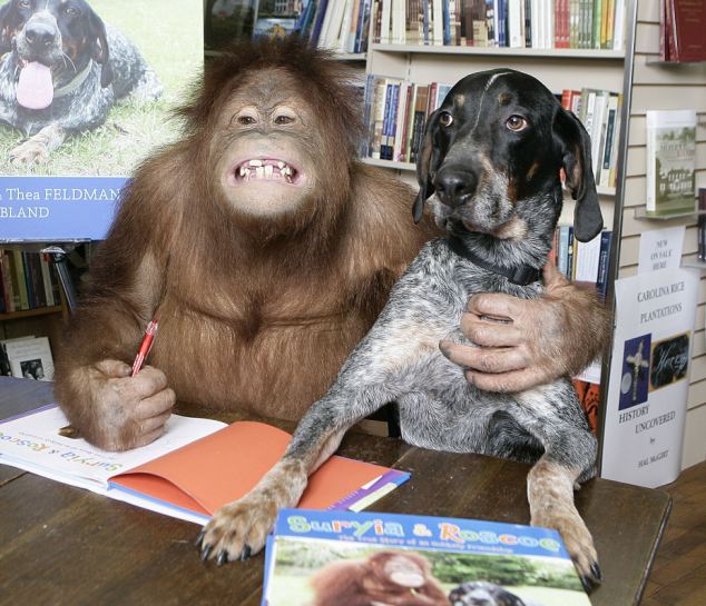 awkward-friendships-the-unlikely-friendship-between-an-orangutan-and-a-dog