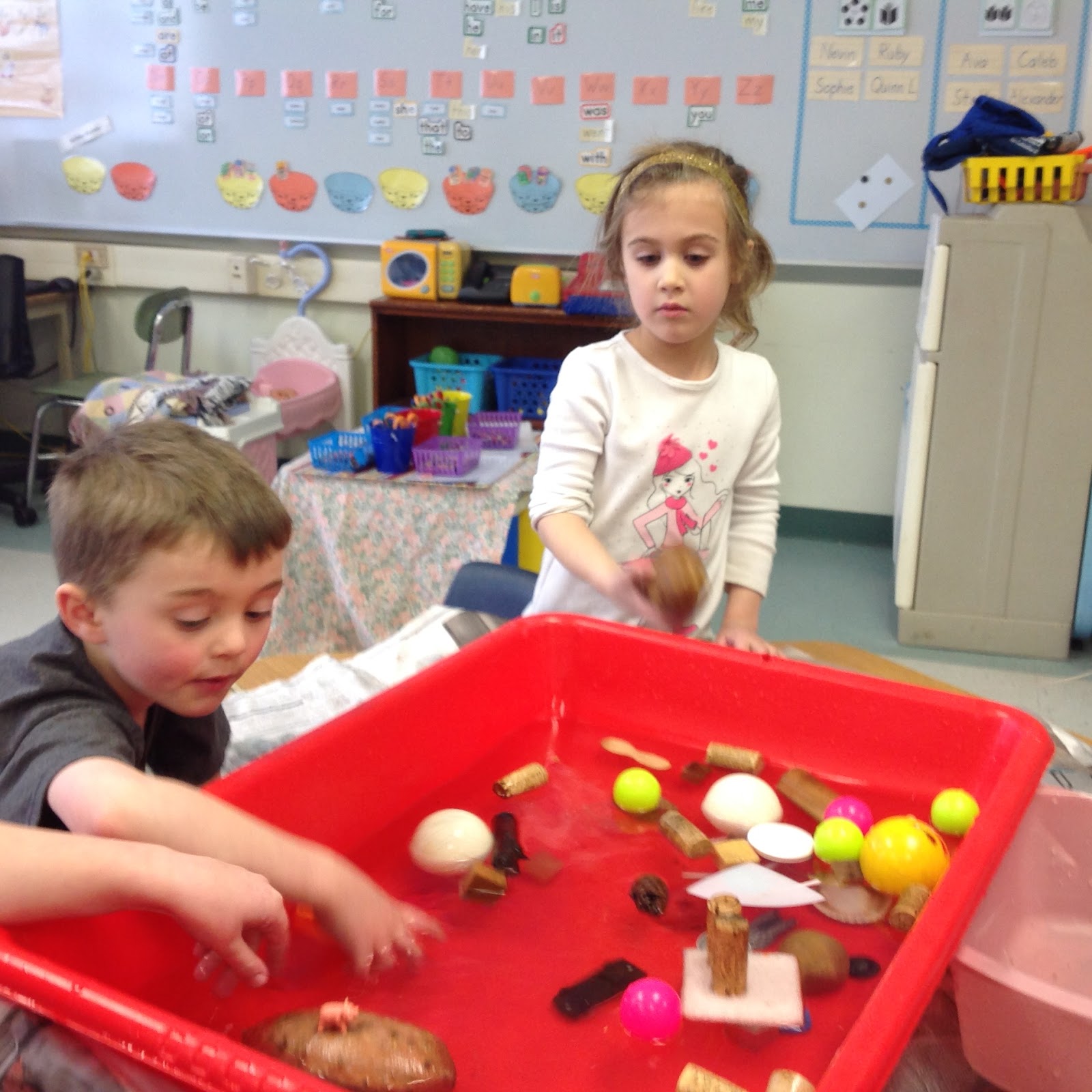 Mrs. Craven's Kindergarten Sink and Float