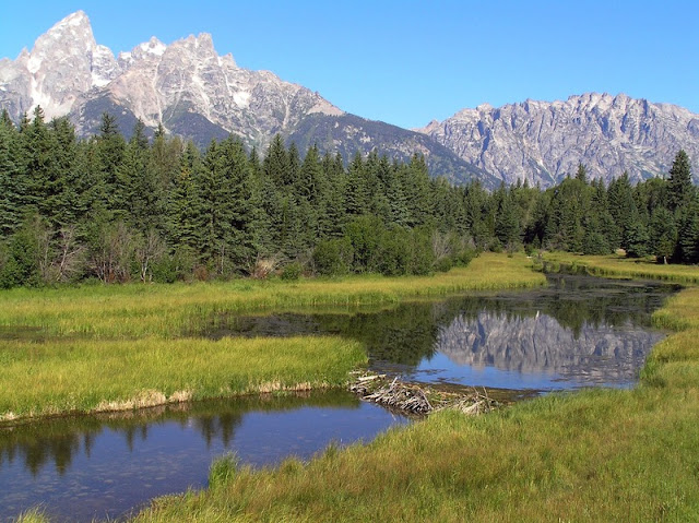 a lake at Grand Teton National Park a lake at Grand Teton National Park