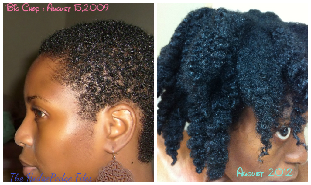 Natural Hair Texturizer Recipe Natural Hair Texturizer Recipe