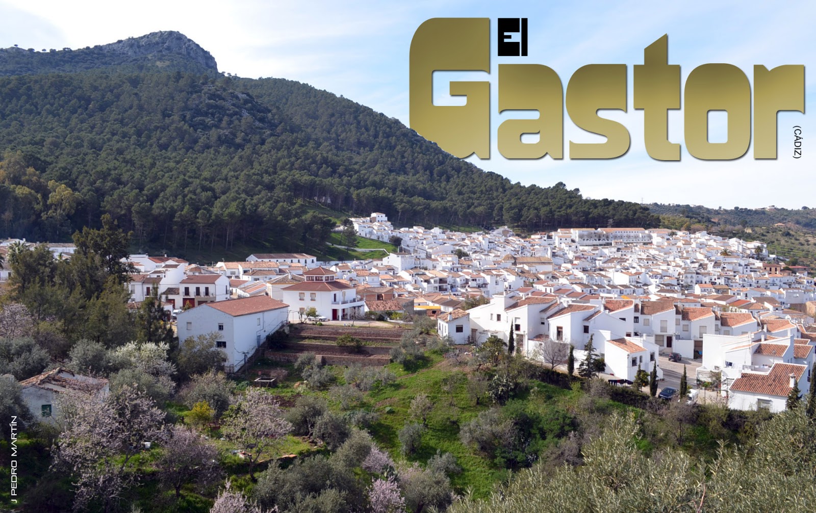 EL GASTOR J PEDRO MARTÍN