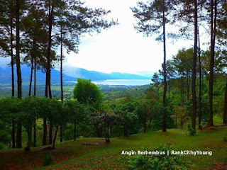 Inilah 6 Lokasi Wisata Untuk Melihat Panorama Danau Singkarak Dari Ketinggian Inilah 6 Lokasi Wisata Untuk Melihat Panorama Danau Singkarak Dari Ketinggian