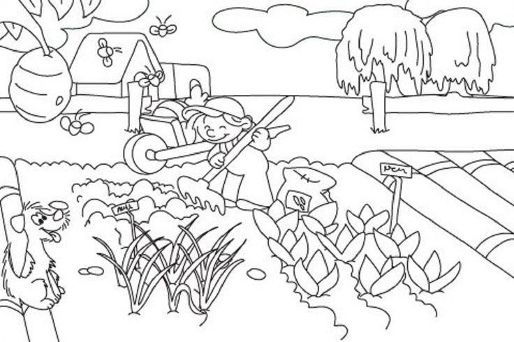 desenhos de horta plantaÇÃo para colorir pintar imprimir ou