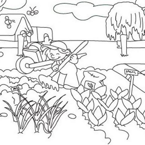 desenhos de hipopótamo para pintar colorir imprimir hipopótamos