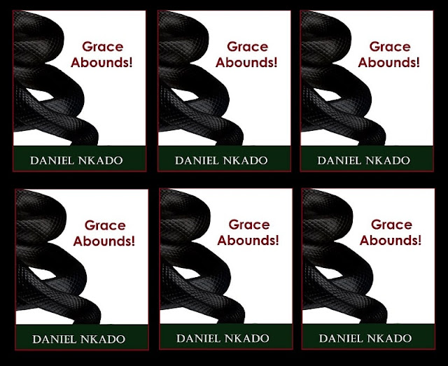 Daniel Nkado's Books