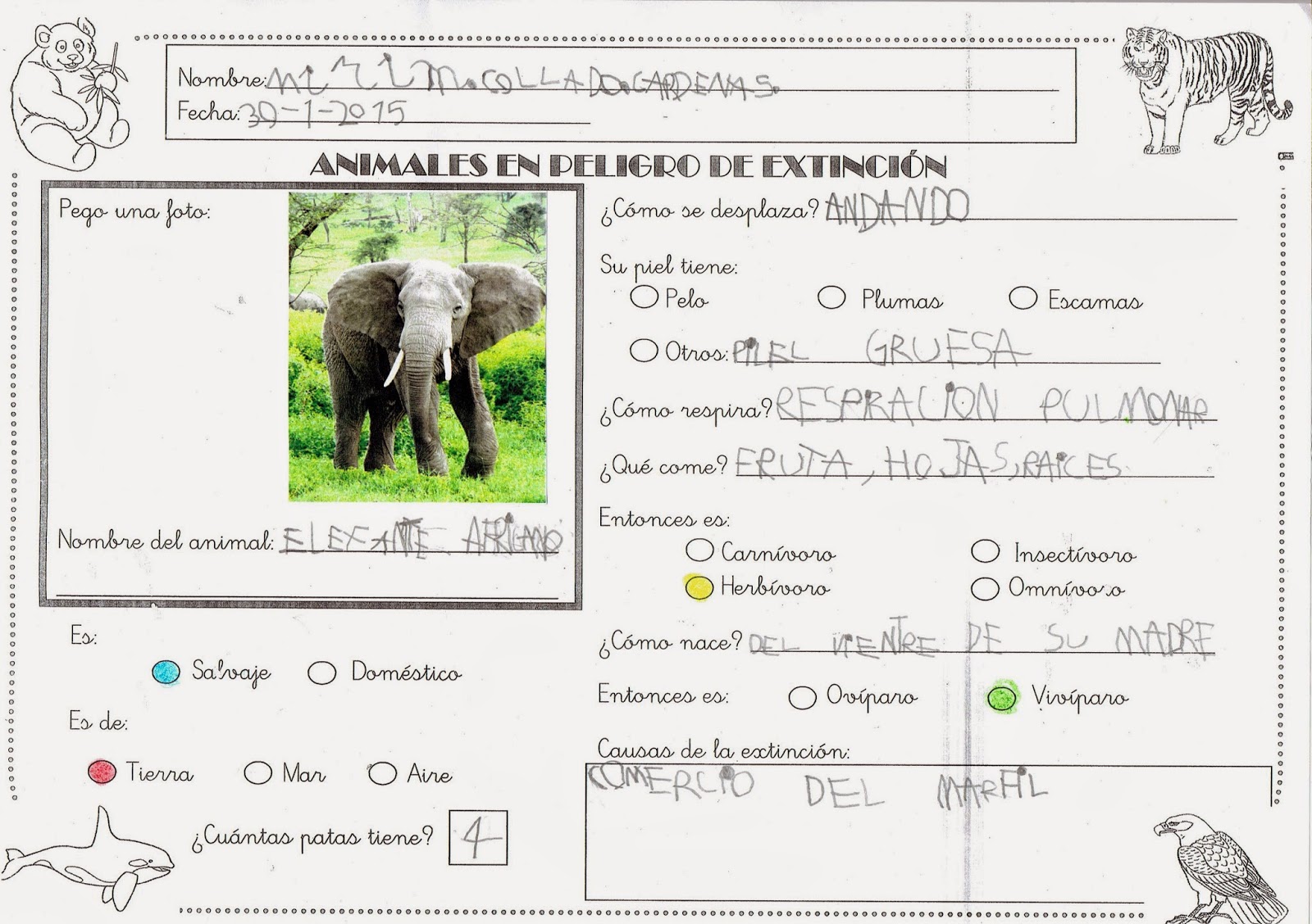 CAMINITOS DE ILUSIÓN: INVESTIGAMOS ANIMALES EN PELIGRO DE EXTINCIÓN EN