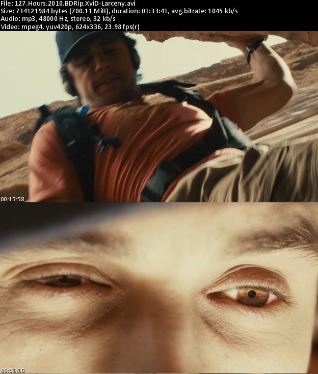 127.Hours.2010.BDRip.XviD-Larceny_s.jpg