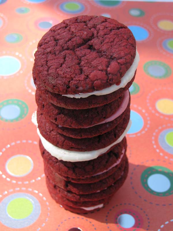 Cookie Art Cakesters