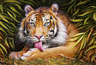 tigre oleo cuadro