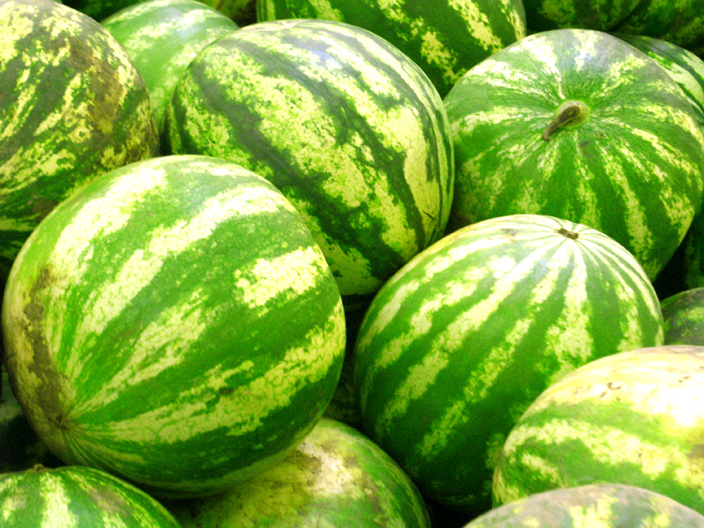 watermelon_fruit-5555