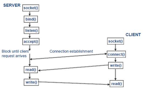 Network Programming Notes - BankExamsToday