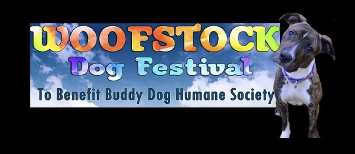 A Lovely Life, Indeed Woofstocking with Gracie and AllSato Rescue