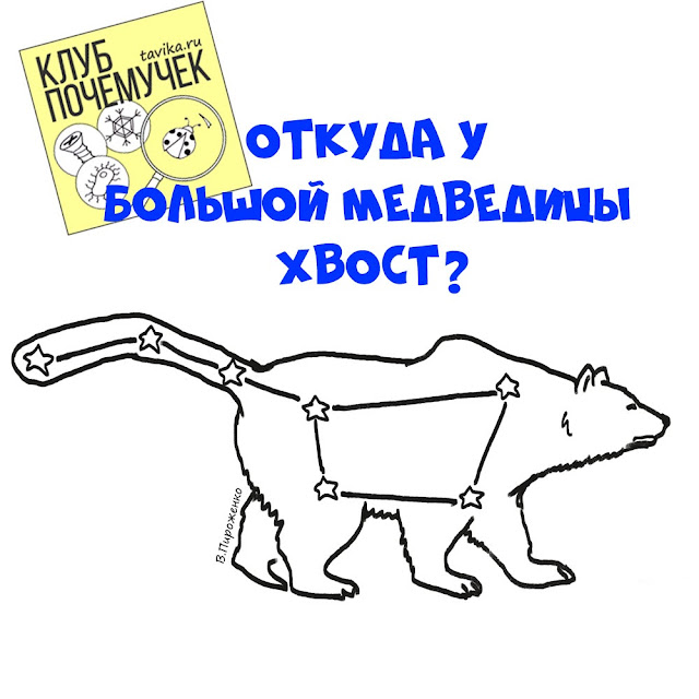 почему у Большой Медведицы хвост